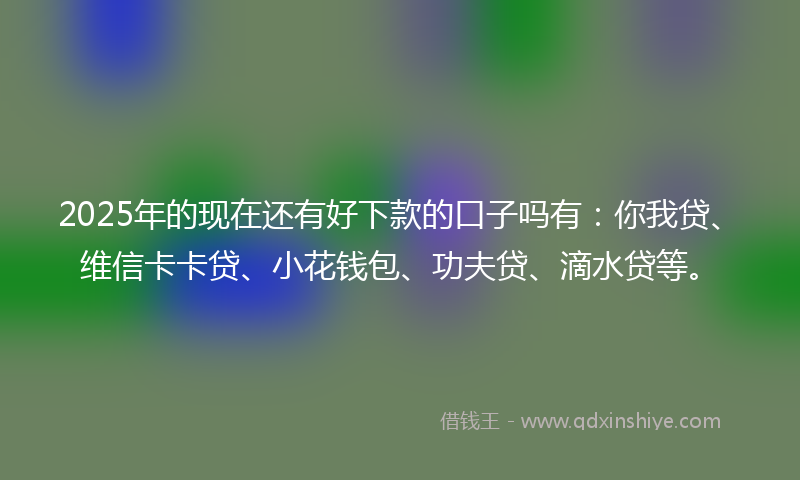 2025年的现在还有好下款的口子吗有：你我贷、维信卡卡贷、小花钱包、功夫贷、滴水贷等。