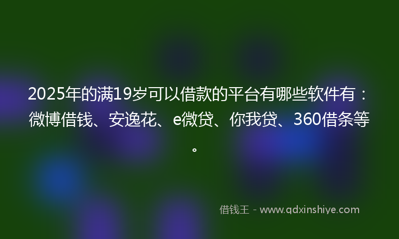 2025年的满19岁可以借款的平台有哪些软件有：微博借钱、安逸花、e微贷、你我贷、360借条等。