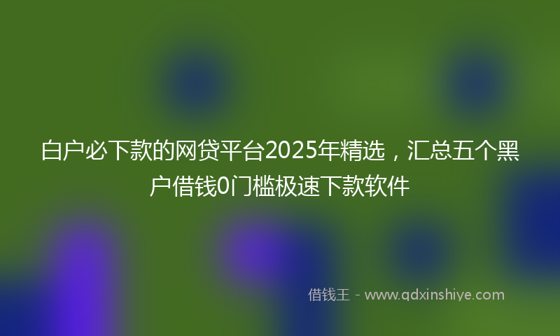 白户必下款的网贷平台2025年精选，汇总五个黑户借钱0门槛极速下款软件