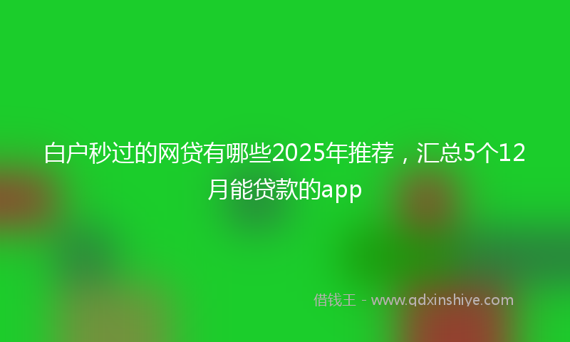 白户秒过的网贷有哪些2025年推荐，汇总5个12月能贷款的app