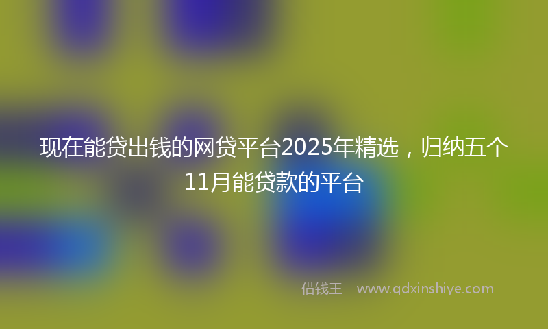 现在能贷出钱的网贷平台2025年精选，归纳五个11月能贷款的平台