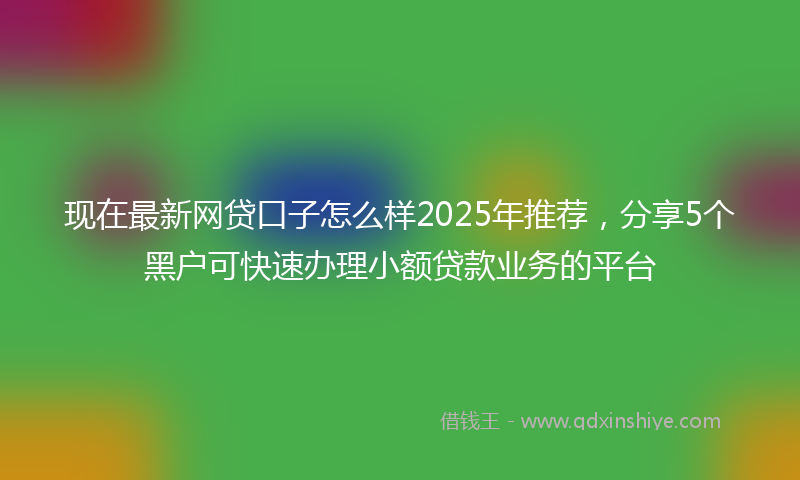 现在最新网贷口子怎么样2025年推荐，分享5个黑户可快速办理小额贷款业务的平台