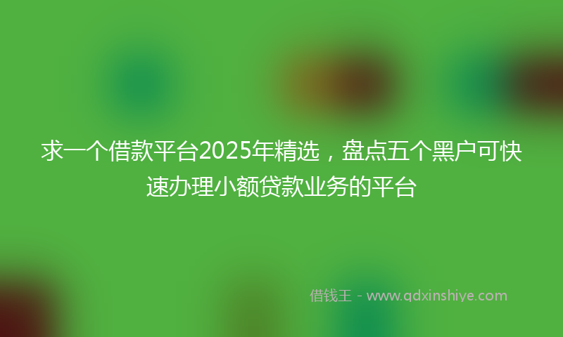求一个借款平台2025年精选，盘点五个黑户可快速办理小额贷款业务的平台