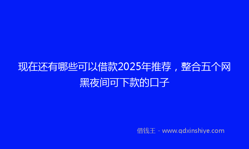 现在还有哪些可以借款2025年推荐，整合五个网黑夜间可下款的口子