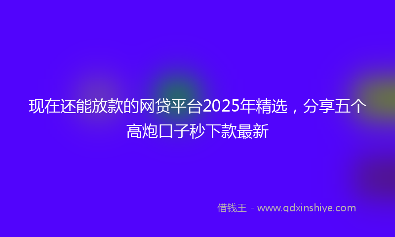 现在还能放款的网贷平台2025年精选，分享五个高炮口子秒下款最新