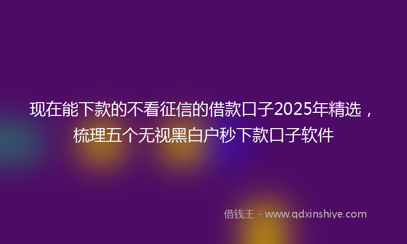 现在能下款的不看征信的借款口子2025年精选，梳理五个无视黑白户秒下款口子软件