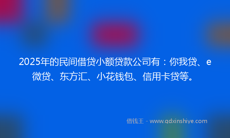 2025年的民间借贷小额贷款公司有：你我贷、e微贷、东方汇、小花钱包、信用卡贷等。