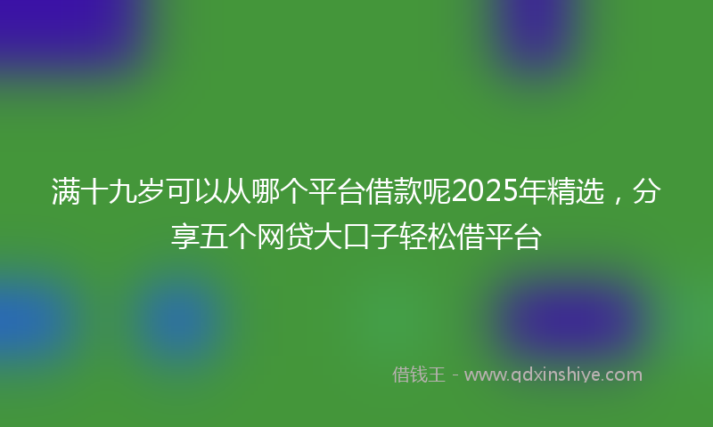满十九岁可以从哪个平台借款呢2025年精选，分享五个网贷大口子轻松借平台