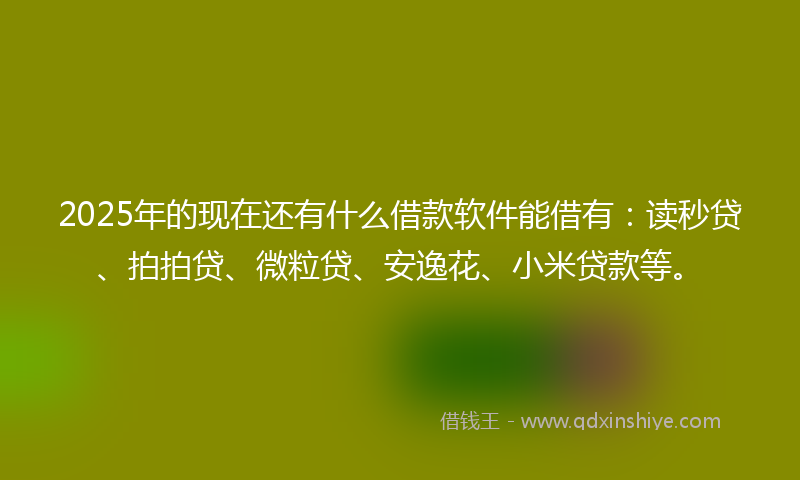 2025年的现在还有什么借款软件能借有：读秒贷、拍拍贷、微粒贷、安逸花、小米贷款等。