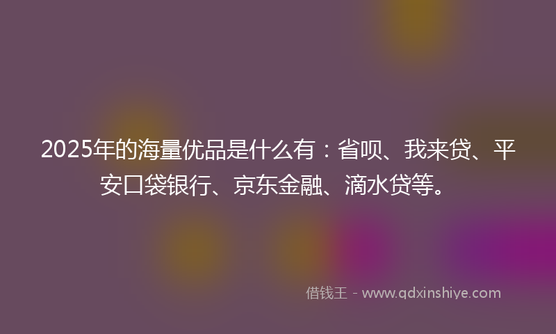 2025年的海量优品是什么有：省呗、我来贷、平安口袋银行、京东金融、滴水贷等。