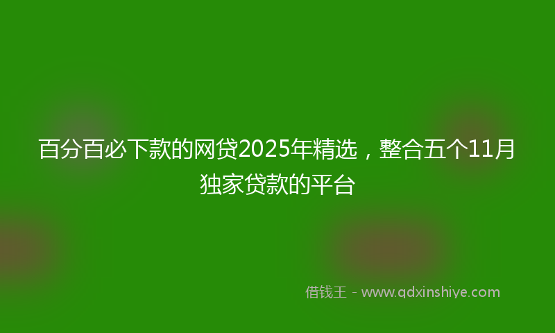 百分百必下款的网贷2025年精选，整合五个11月独家贷款的平台