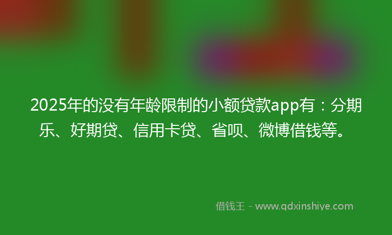 2025年的没有年龄限制的小额贷款app有：分期乐、好期贷、信用卡贷、省呗、微博借钱等。