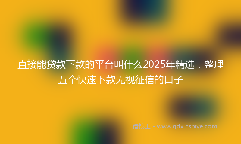 直接能贷款下款的平台叫什么2025年精选，整理五个快速下款无视征信的口子