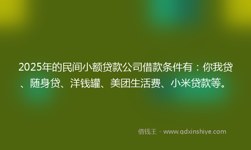 2025年的民间小额贷款公司借款条件有：你我贷、随身贷、洋钱罐、美团生活费、小米贷款等。