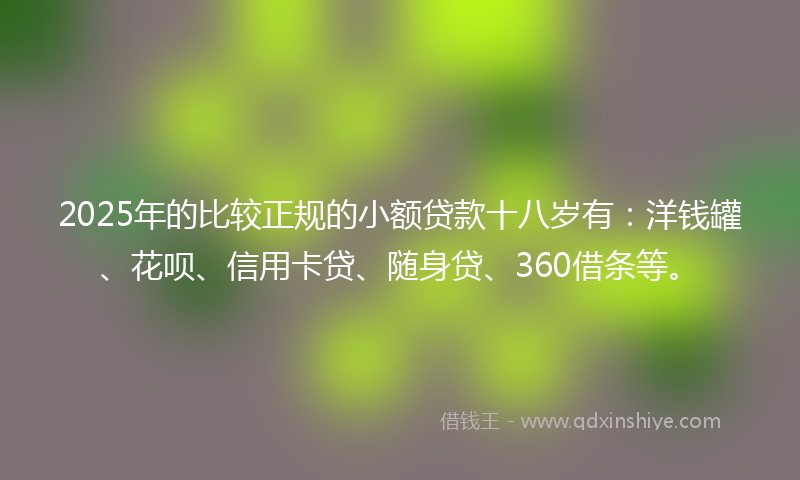 2025年的比较正规的小额贷款十八岁有：洋钱罐、花呗、信用卡贷、随身贷、360借条等。