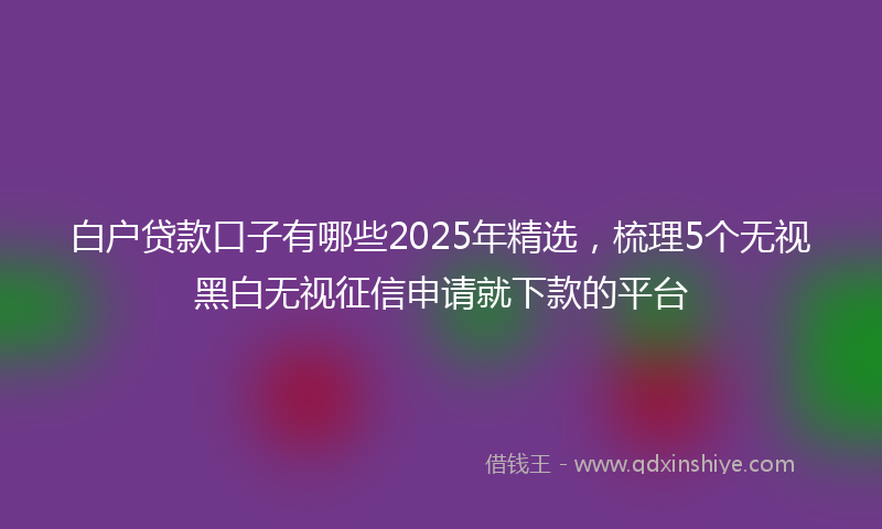 白户贷款口子有哪些2025年精选，梳理5个无视黑白无视征信申请就下款的平台