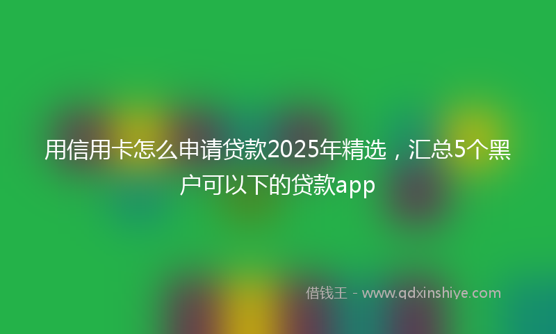 用信用卡怎么申请贷款2025年精选，汇总5个黑户可以下的贷款app
