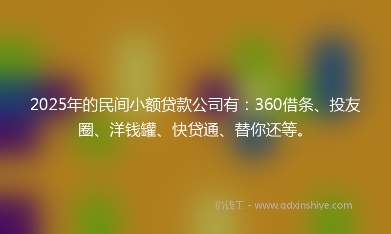 2025年的民间小额贷款公司有：360借条、投友圈、洋钱罐、快贷通、替你还等。