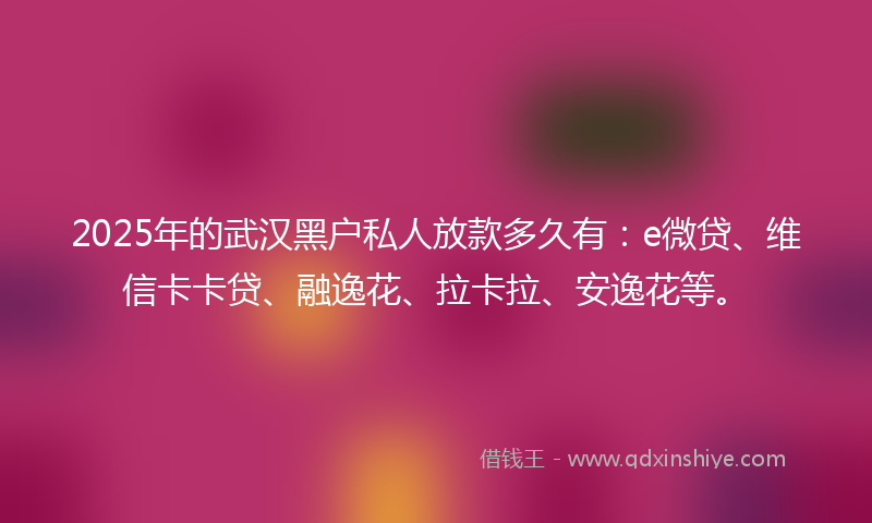 2025年的武汉黑户私人放款多久有：e微贷、维信卡卡贷、融逸花、拉卡拉、安逸花等。