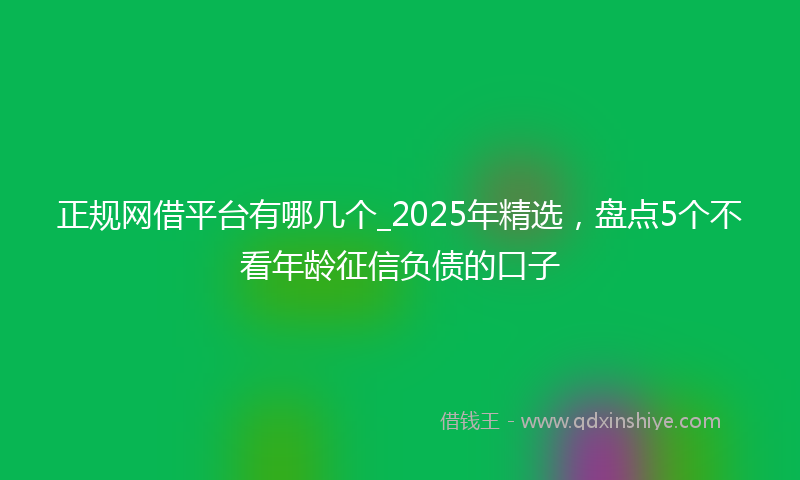 正规网借平台有哪几个_2025年精选，盘点5个不看年龄征信负债的口子