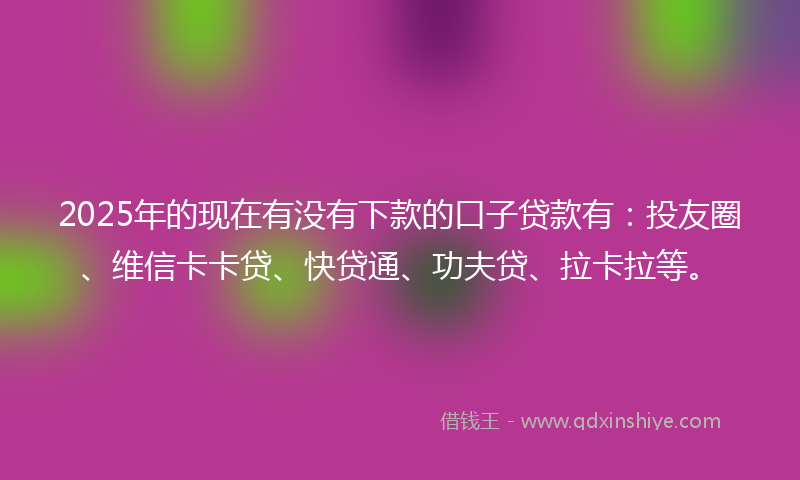 2025年的现在有没有下款的口子贷款有：投友圈、维信卡卡贷、快贷通、功夫贷、拉卡拉等。