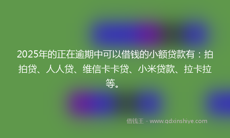 2025年的正在逾期中可以借钱的小额贷款有：拍拍贷、人人贷、维信卡卡贷、小米贷款、拉卡拉等。