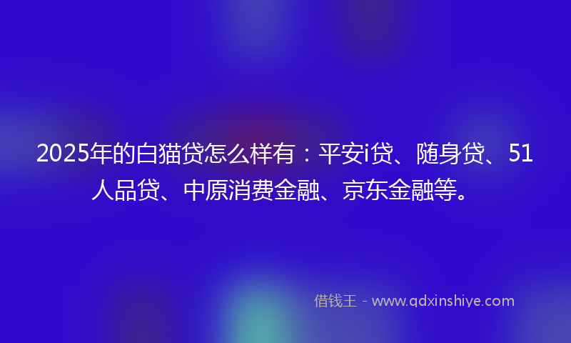 2025年的白猫贷怎么样有：平安i贷、随身贷、51人品贷、中原消费金融、京东金融等。