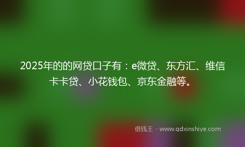 2025年的的网贷口子有：e微贷、东方汇、维信卡卡贷、小花钱包、京东金融等。