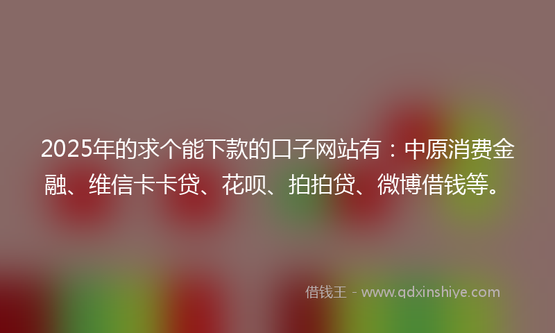 2025年的求个能下款的口子网站有：中原消费金融、维信卡卡贷、花呗、拍拍贷、微博借钱等。