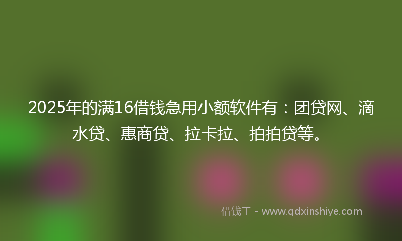 2025年的满16借钱急用小额软件有：团贷网、滴水贷、惠商贷、拉卡拉、拍拍贷等。