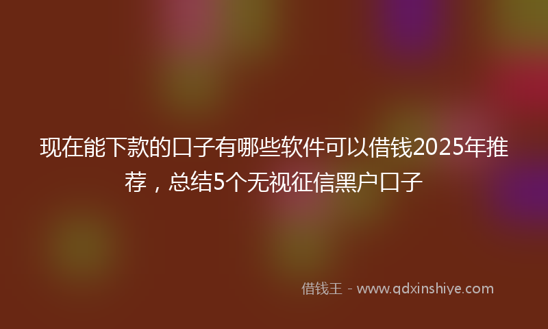 现在能下款的口子有哪些软件可以借钱2025年推荐，总结5个无视征信黑户口子