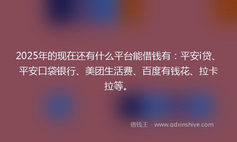 2025年的现在还有什么平台能借钱有：平安i贷、平安口袋银行、美团生活费、百度有钱花、拉卡拉等。