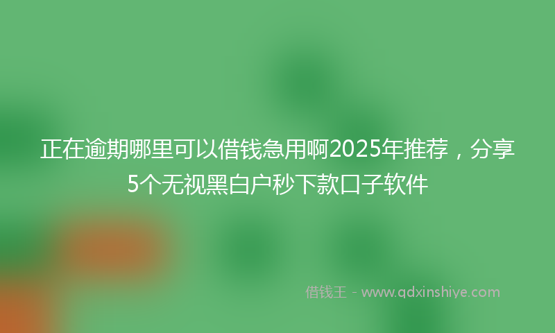 正在逾期哪里可以借钱急用啊2025年推荐，分享5个无视黑白户秒下款口子软件