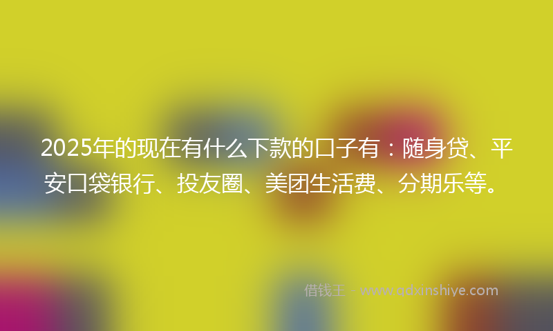 2025年的现在有什么下款的口子有：随身贷、平安口袋银行、投友圈、美团生活费、分期乐等。