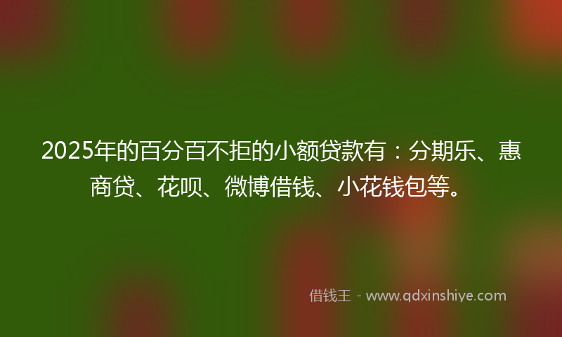 2025年的百分百不拒的小额贷款有：分期乐、惠商贷、花呗、微博借钱、小花钱包等。