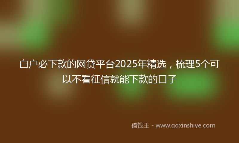 白户必下款的网贷平台2025年精选，梳理5个可以不看征信就能下款的口子