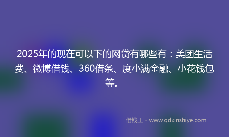 2025年的现在可以下的网贷有哪些有：美团生活费、微博借钱、360借条、度小满金融、小花钱包等。