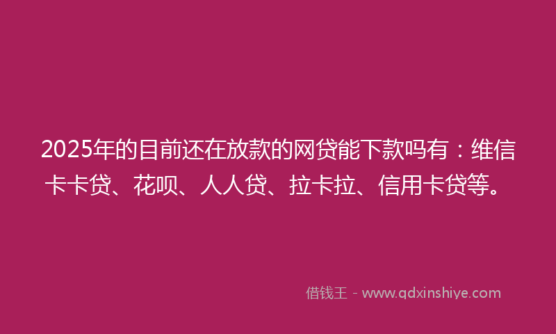 2025年的目前还在放款的网贷能下款吗有：维信卡卡贷、花呗、人人贷、拉卡拉、信用卡贷等。