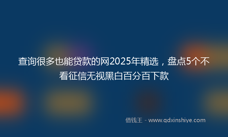 查询很多也能贷款的网2025年精选，盘点5个不看征信无视黑白百分百下款