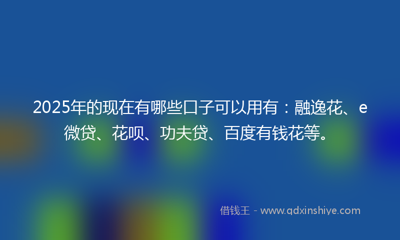 2025年的现在有哪些口子可以用有：融逸花、e微贷、花呗、功夫贷、百度有钱花等。