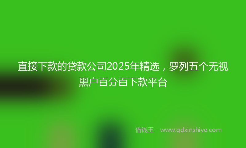 直接下款的贷款公司2025年精选，罗列五个无视黑户百分百下款平台