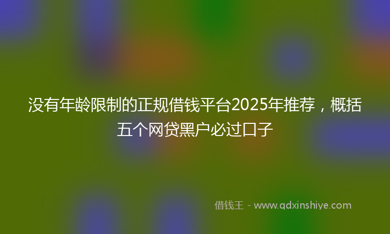 没有年龄限制的正规借钱平台2025年推荐，概括五个网贷黑户必过口子