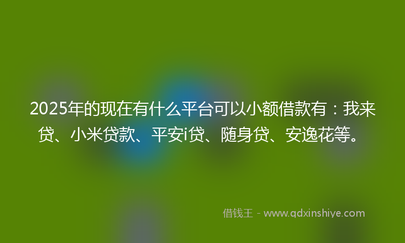 2025年的现在有什么平台可以小额借款有：我来贷、小米贷款、平安i贷、随身贷、安逸花等。