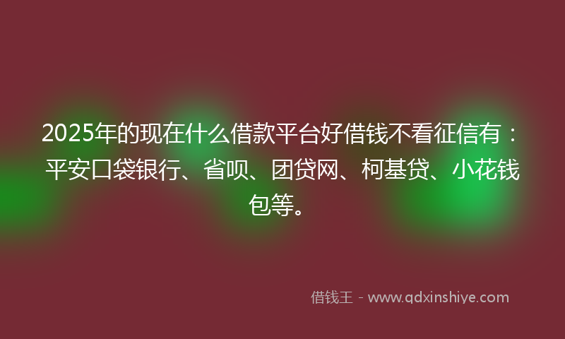 2025年的现在什么借款平台好借钱不看征信有：平安口袋银行、省呗、团贷网、柯基贷、小花钱包等。