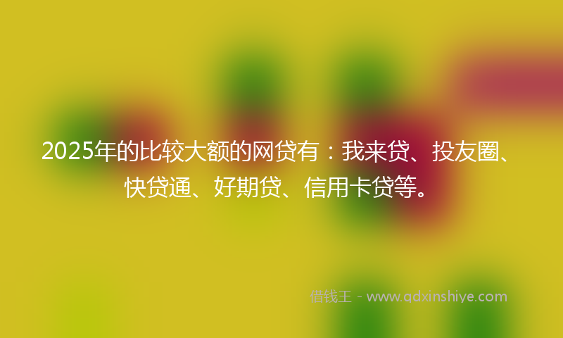 2025年的比较大额的网贷有：我来贷、投友圈、快贷通、好期贷、信用卡贷等。