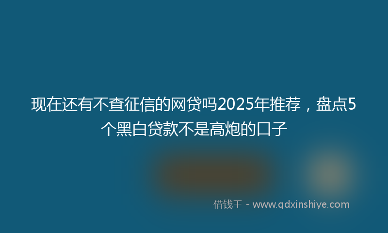 现在还有不查征信的网贷吗2025年推荐，盘点5个黑白贷款不是高炮的口子