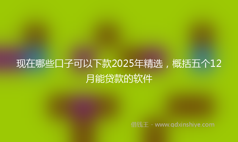 现在哪些口子可以下款2025年精选,概括五个12月能贷款的软件
