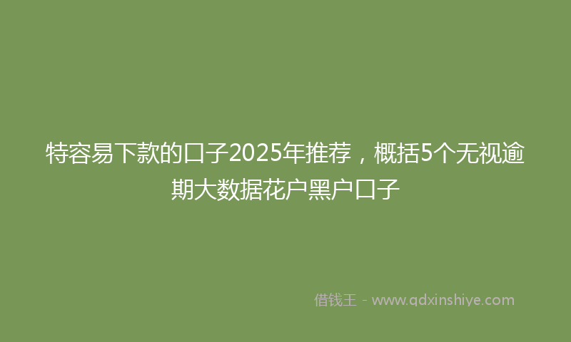 特容易下款的口子2025年推荐，概括5个无视逾期大数据花户黑户口子