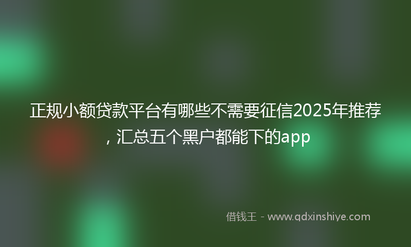 正规小额贷款平台有哪些不需要征信2025年推荐，汇总五个黑户都能下的app