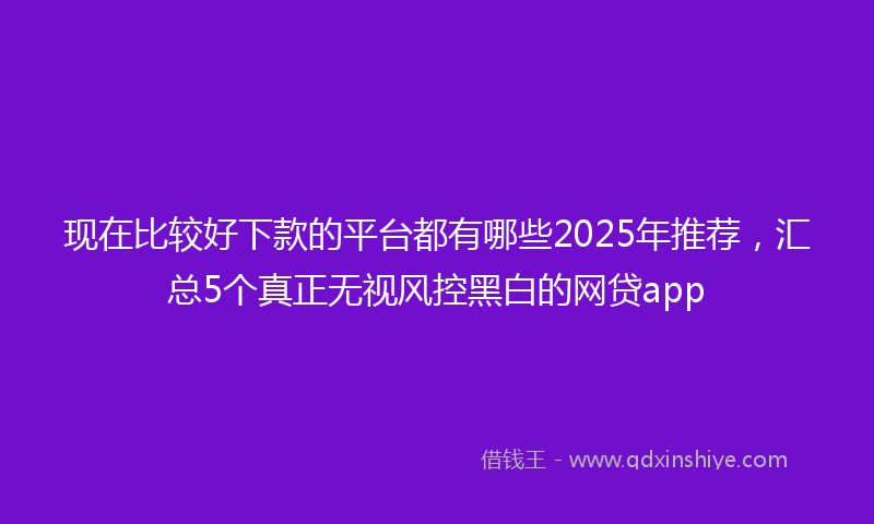 现在比较好下款的平台都有哪些2025年推荐，汇总5个真正无视风控黑白的网贷app